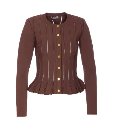 Elisabetta Franchi Sweaters In Brown
