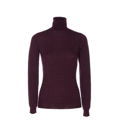 Elisabetta Franchi Logo Sweater In Burgundy