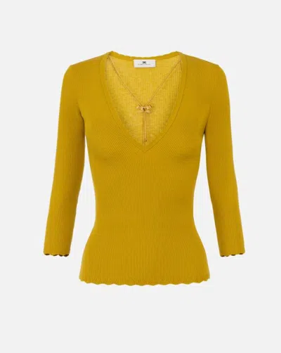 Elisabetta Franchi Sweaters In Yellow
