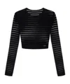 Elisabetta Franchi Pointelle-knit Top In Black