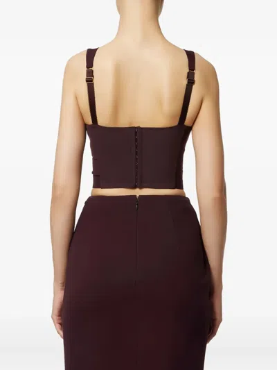 Elisabetta Franchi Topstitching Tulle Top In Brown