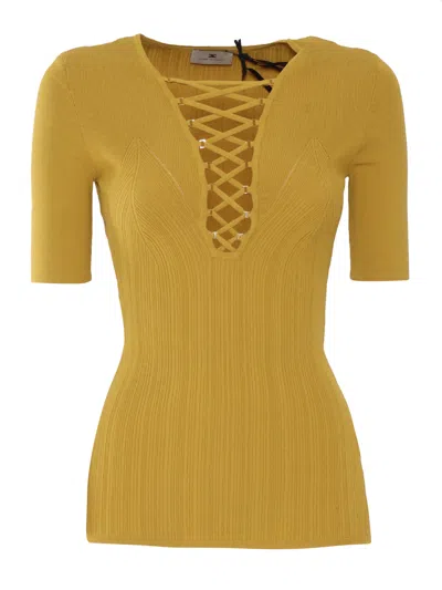 Elisabetta Franchi Tricot Sweater In Yellow