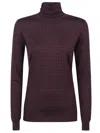 Elisabetta Franchi Tricot Turtle Neck Sweater In Brown