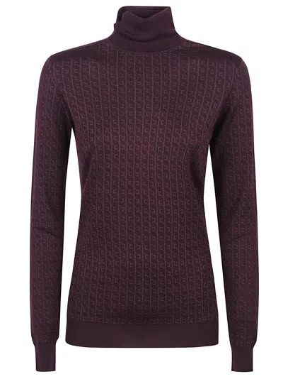 Elisabetta Franchi Tricot Turtle Neck Sweater In Brown