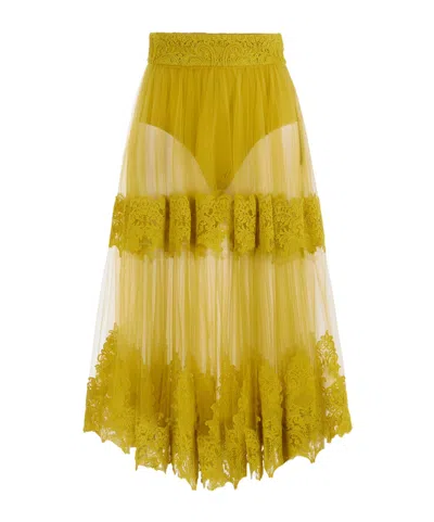 Elisabetta Franchi Tulle Skirt With Lace Decorations In Curry Color