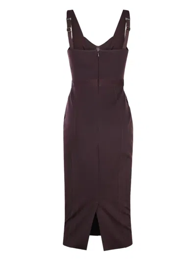 Elisabetta Franchi V-neck Fitted Dress In Brown