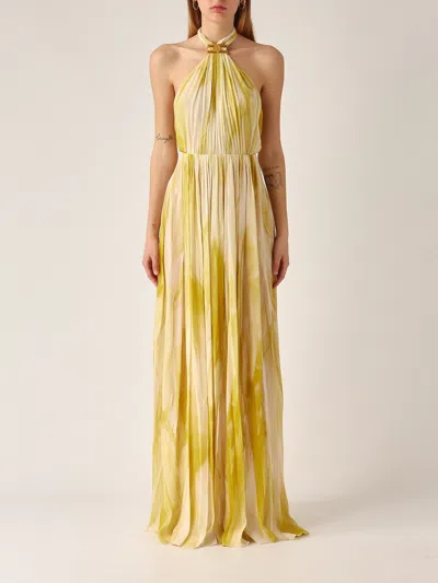 Elisabetta Franchi Viscosa Dress In Yellow