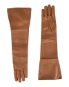 Elisabetta Franchi Woman Gloves Camel Size 7 Ovine Leather In Beige