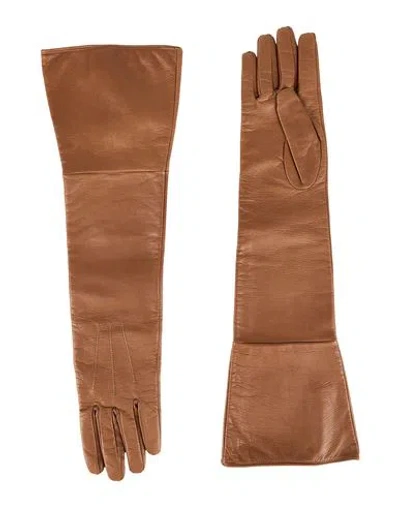 Elisabetta Franchi Woman Gloves Camel Size 7 Ovine Leather In Brown