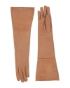 Elisabetta Franchi Woman Gloves Camel Size 8 Ovine Leather