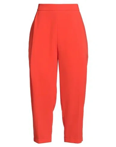 Elisabetta Franchi Woman Pants Tomato Red Size 4 Viscose, Virgin Wool