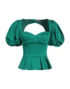Elisabetta Franchi Corset Top In Green