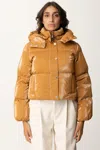 Elisabetta Franchi Women's Outerwear And Jackets  Pi77d46e2 Cg4 In Brown