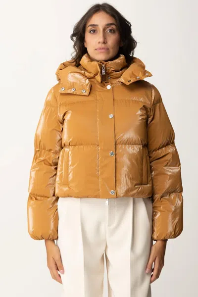 Elisabetta Franchi Women's Outerwear And Jackets  Pi77d46e2 Cg4 In Brown