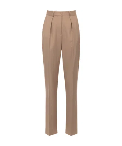 Elisabetta Franchi Wool Pleated Casual Pants In Brown