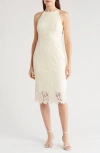 Eliza J Petites Womens Lace Knee-length Halter Dress In Ivory
