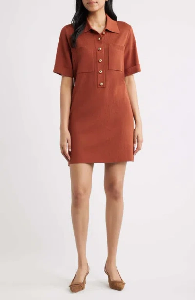 Eliza J Polo Sweater Dress In Brown