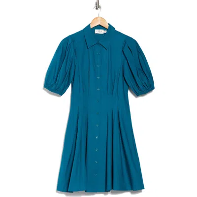 Eliza J Puff Sleeve Cotton Shirtdress In Blue