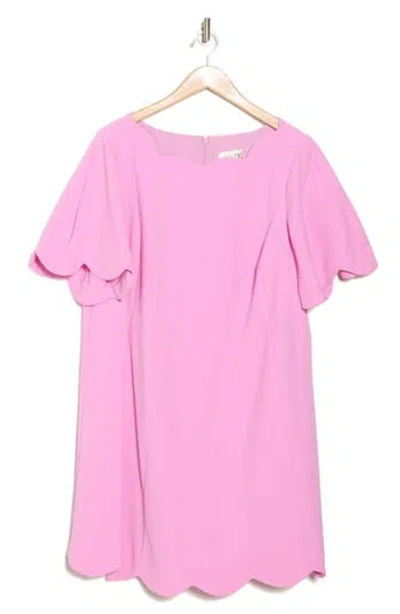 Eliza J Scalloped Short Sleeve Shift Dress In Pink