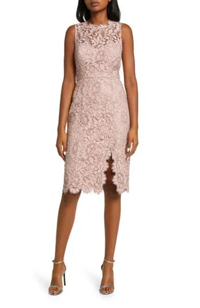 Eliza J Sleeveless Lace Sheath Dress In Pink