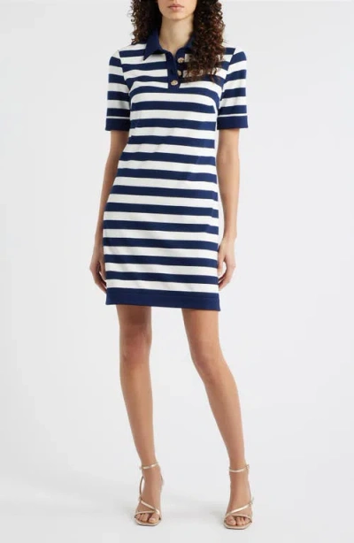Eliza J Stripe Knit Shift Dress In Blue