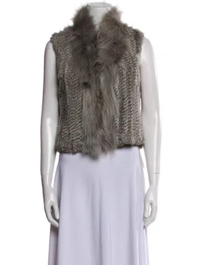 Pre-owned Elizabeth And James Fur Fur Jacket In Multi