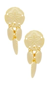 ELIZABETH COLE PERLETTE EARRINGS