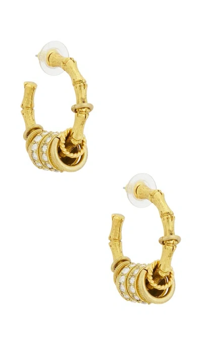Elizabeth Cole Tinsley フープイヤリング In Metallic Gold