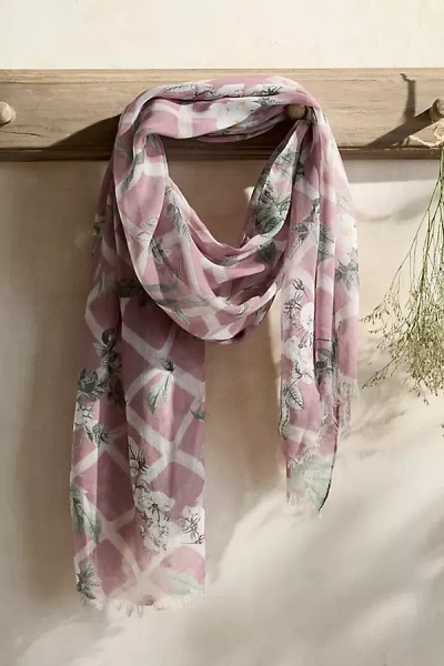 Elizabeth Gillett Rose Lattice Scarf In Pink