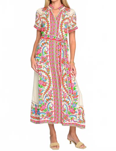 Elizabeth James The Label Carlisle Dress In Scroll With It In Multi