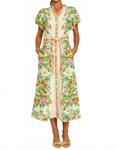 Elizabeth James The Label Carlisle Dress In Tea Time In Green