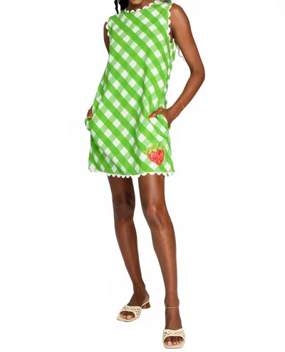 Elizabeth James The Label Ellie Dress In Green Gingham