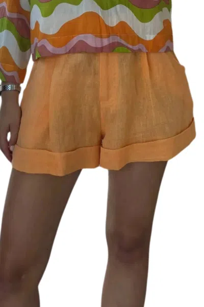 Elizabeth James The Label Sami High Rise Shorts In Orange