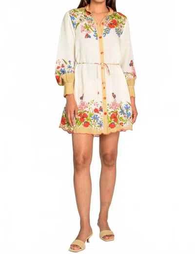 Elizabeth James The Label Tara Mini Dress In Butterfly Garden In White