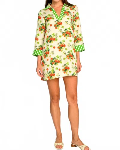 Elizabeth James The Label Taylor Dress In Strawberry Garden In Green