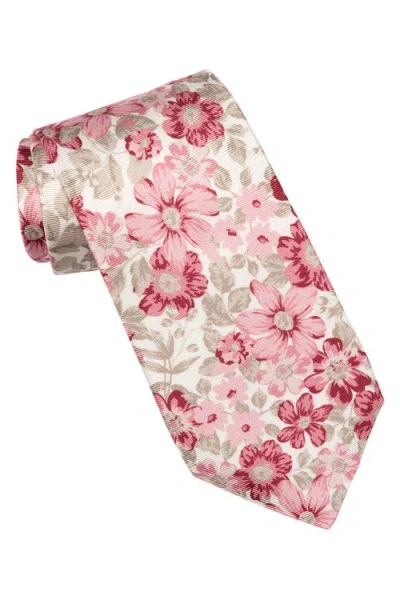 Elizabetta Altamura In Pink