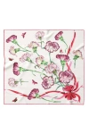 Elizabetta Dianthus In Multi