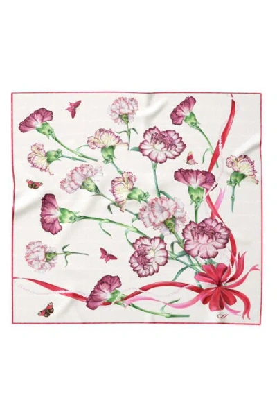 Elizabetta Dianthus In Multi