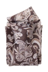 Elizabetta Novara In Brown