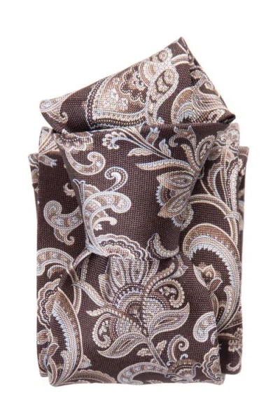 Elizabetta Novara In Brown