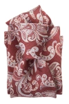 Elizabetta Novara In Venetian Red