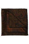 Elizabetta Positano In Brown