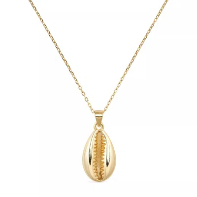 Elk & Bloom Women's Dainty Gold Cowrie Shell Clam Necklace