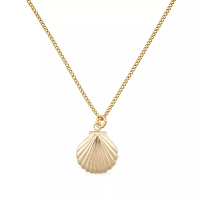 Elk & Bloom Women's Dainty Gold Large Shell Clam Necklace
