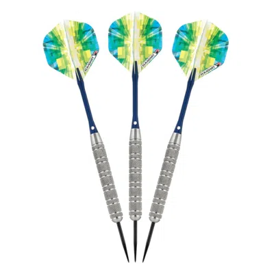 Elkadart Prism Ringed Silver Steel Tip Darts - 21 G