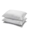 Ella Jayne Cotton Quilted Medium Density 2-pack Pillow, Standard In White