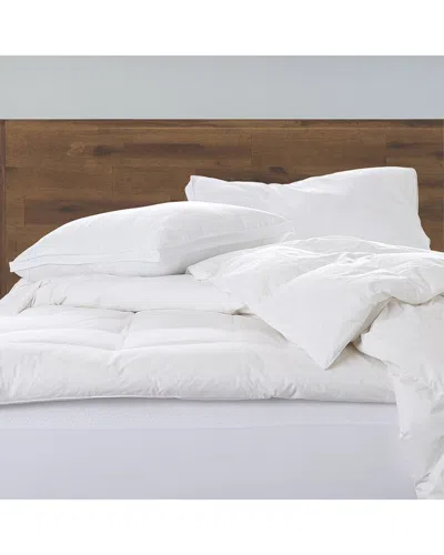 Ella Jayne Gussetted Soft Plush Down Alternative Stomach Sleeper Pillow In White