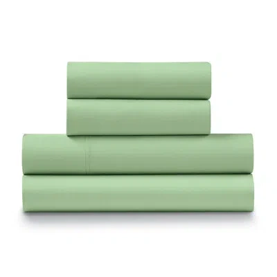 Ella Jayne Home 500 Thread 100% Cotton Sateen Sheet Set In Olive
