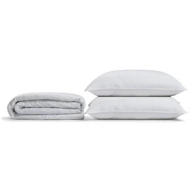 Ella Jayne Home Allergy-free Bundle: Allergen-free Mattress Pad, Signature Firm Pillow 2-pack In White