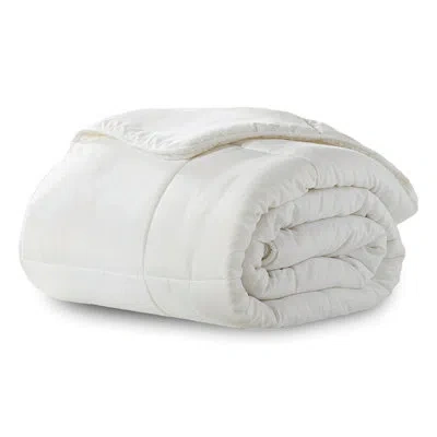 Ella Jayne Home Brushed Cozy Touch Microfiber Down-alternative Comforter In White